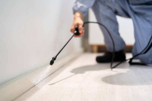 Licensed Termite Control service in Sunflower County County, MS - Nex Pest Control