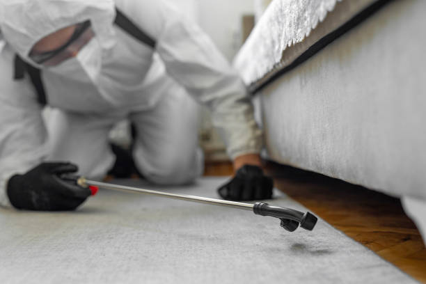 Professional Termite Control technician working in Sunflower County County, MS